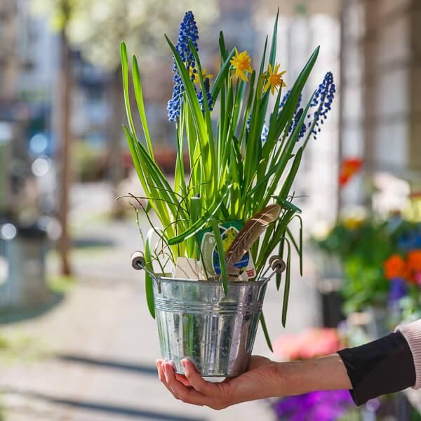 Frühlingserwachen – Centra Flor